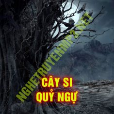 Cây Si Quỷ Ngự