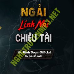 Ngải Linh Nhi Chiêu Tài