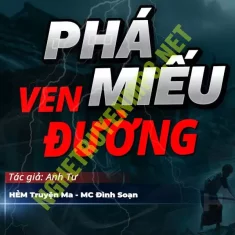 Phá Miếu Ven Đường