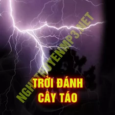 Trời Đánh Cây Táo