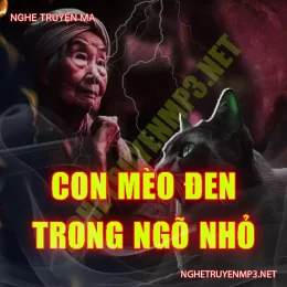 Con Mèo Đen Trong Ngõ