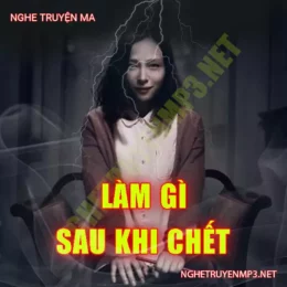 Làm Gì Sau Khi C.hết