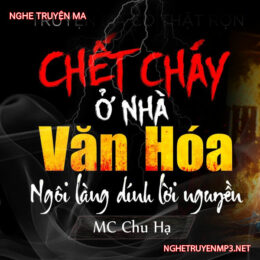 C.hết Cháy Ở Nhà Văn Hóa