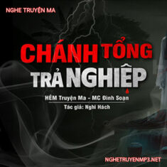 Chánh Tổng Trả Nghiệp