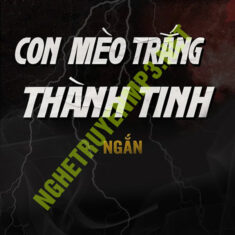 Con Mèo Thành Tinh