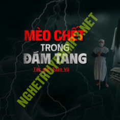 Mèo C.hết Trong Đám Tang