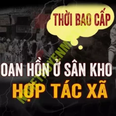 Oan Hồn Ở Sân Kho Hợp Tác Xã