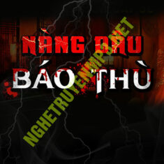 Nàng Dâu B.áo T.hù