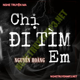 Chị Đi Tìm Em