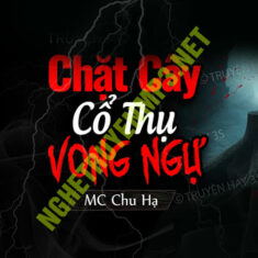 Bí Ẩn Đằng Sau Gốc Vú Sữa