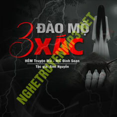 Đào Mộ 3 X.ác