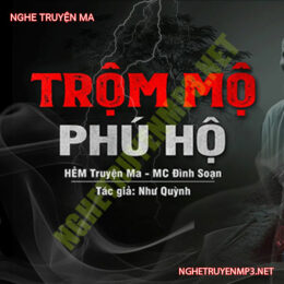 Trộm Mộ Phú Hộ