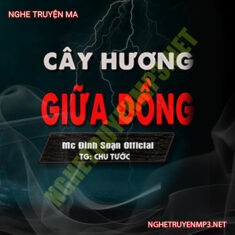 Cầy Hương Giữa Đồng