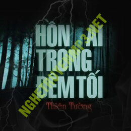 Hồn Ai Trong Đêm Tối